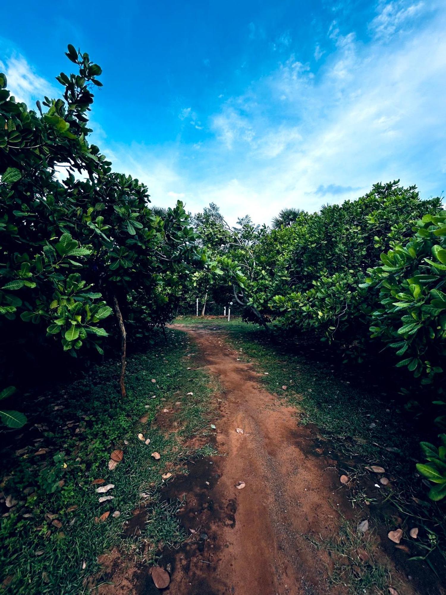 Boomerang Community Auroville Ngoại thất bức ảnh