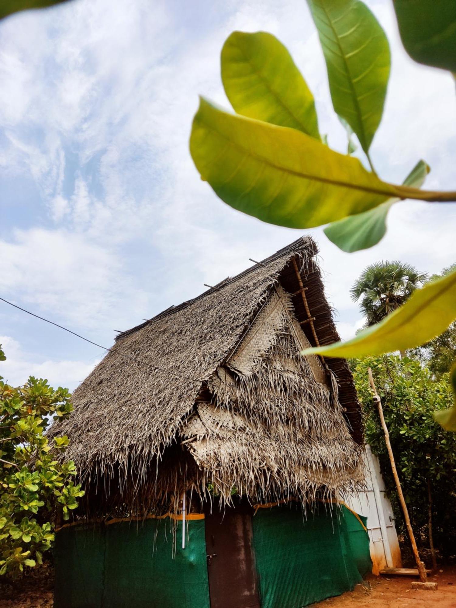Boomerang Community Auroville Ngoại thất bức ảnh