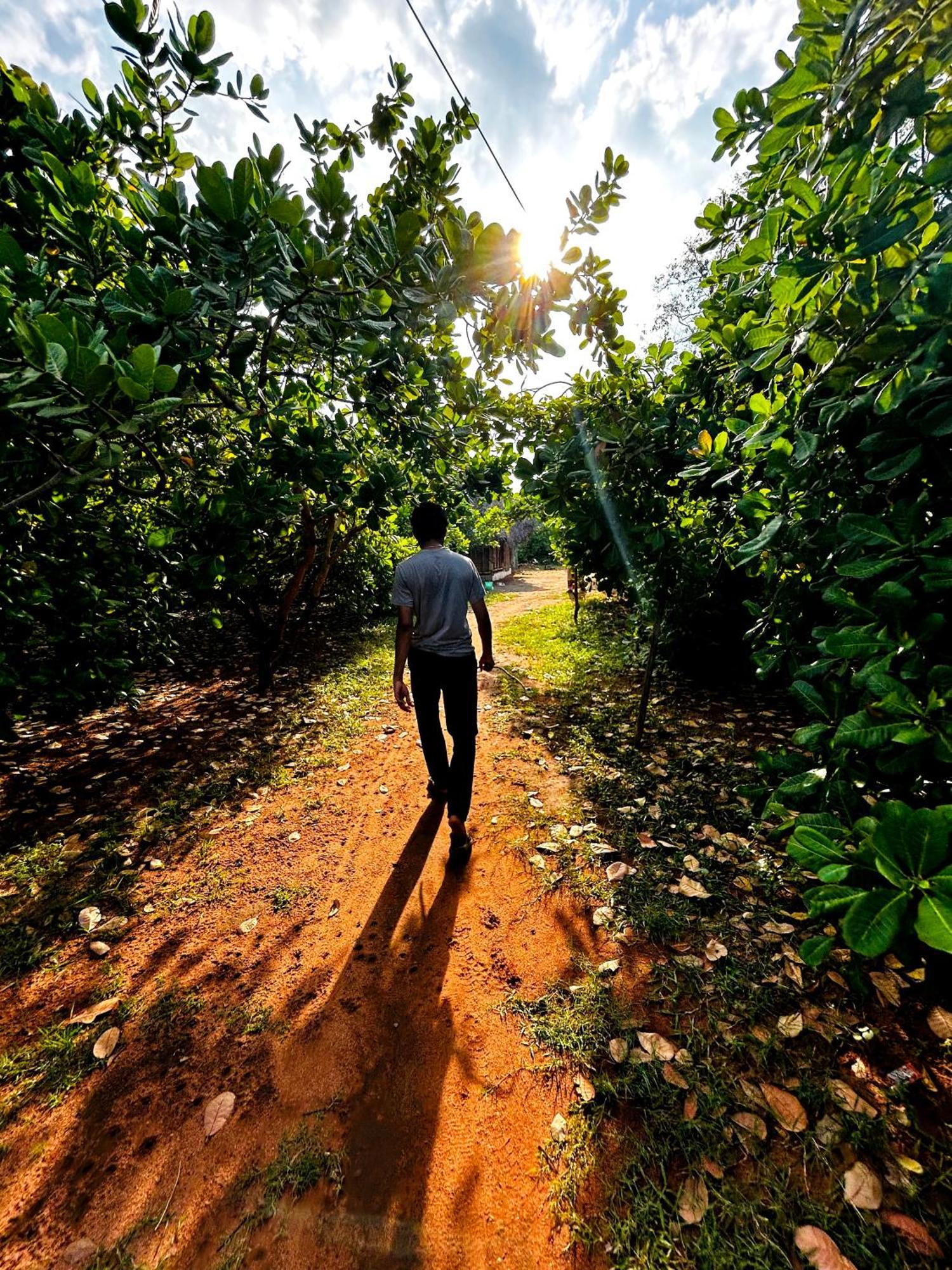 Boomerang Community Auroville Ngoại thất bức ảnh