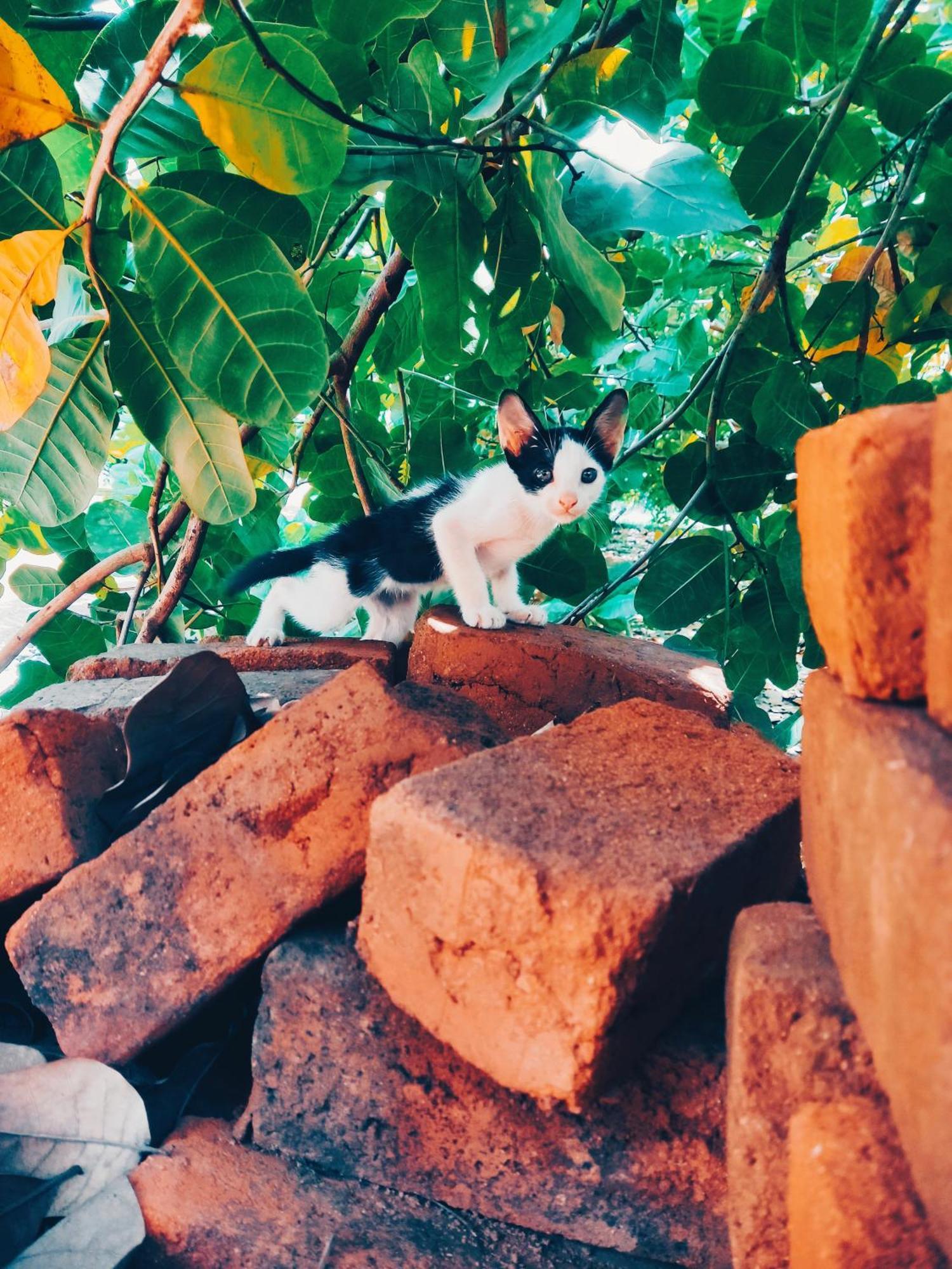 Boomerang Community Auroville Ngoại thất bức ảnh