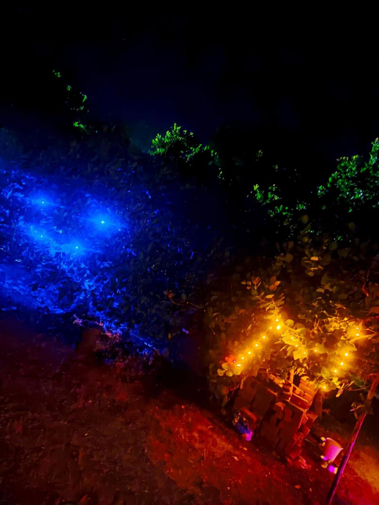 Boomerang Community Auroville Ngoại thất bức ảnh