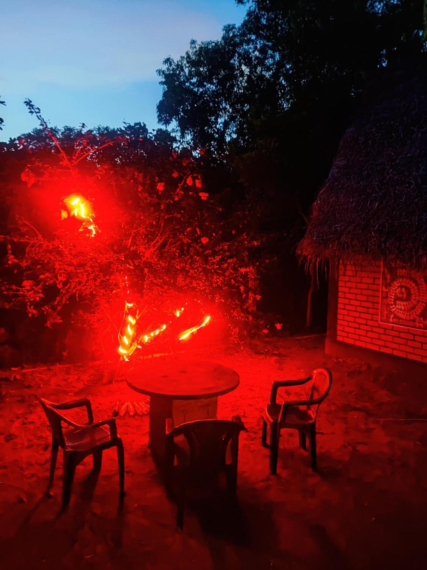 Boomerang Community Auroville Ngoại thất bức ảnh