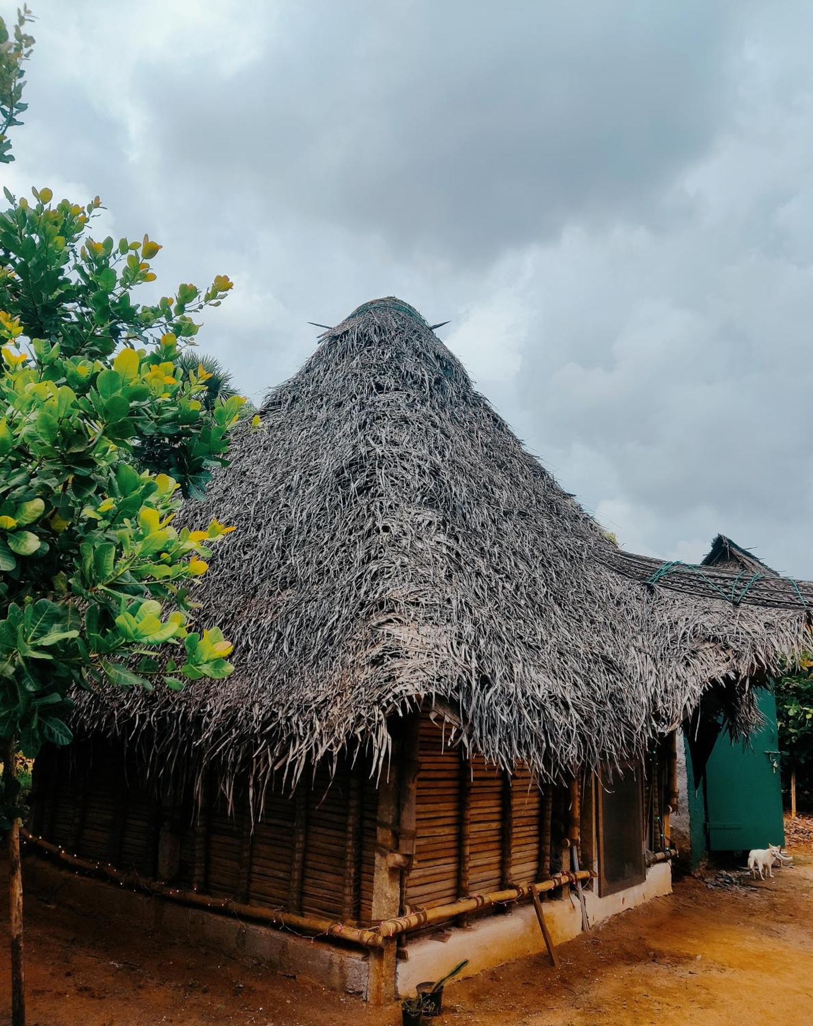 Boomerang Community Auroville Ngoại thất bức ảnh